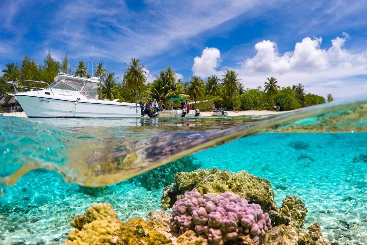 Ninamu Resort Tikehau Luaran gambar